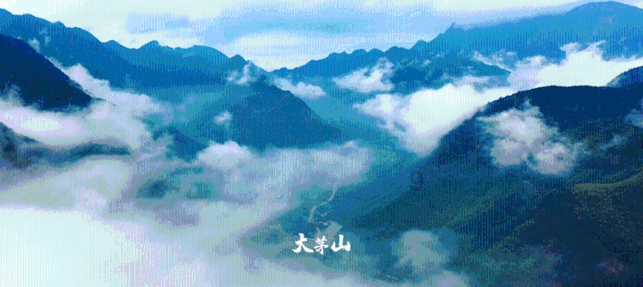 马甸桥东到安贞桥东怎么走-专业问答平台网页-唯一权威答疑解惑